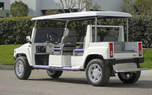 custom golf carts for rent, golf cart rental delray, golf cart rentals