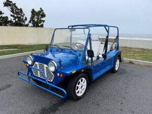 Blue Mokee 4 Passenger Golf Cart golf cart rental delray, golf cart rental