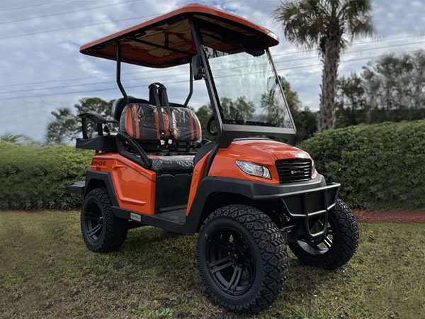 golf cart rental delray, golf cart rental, cart rental delray